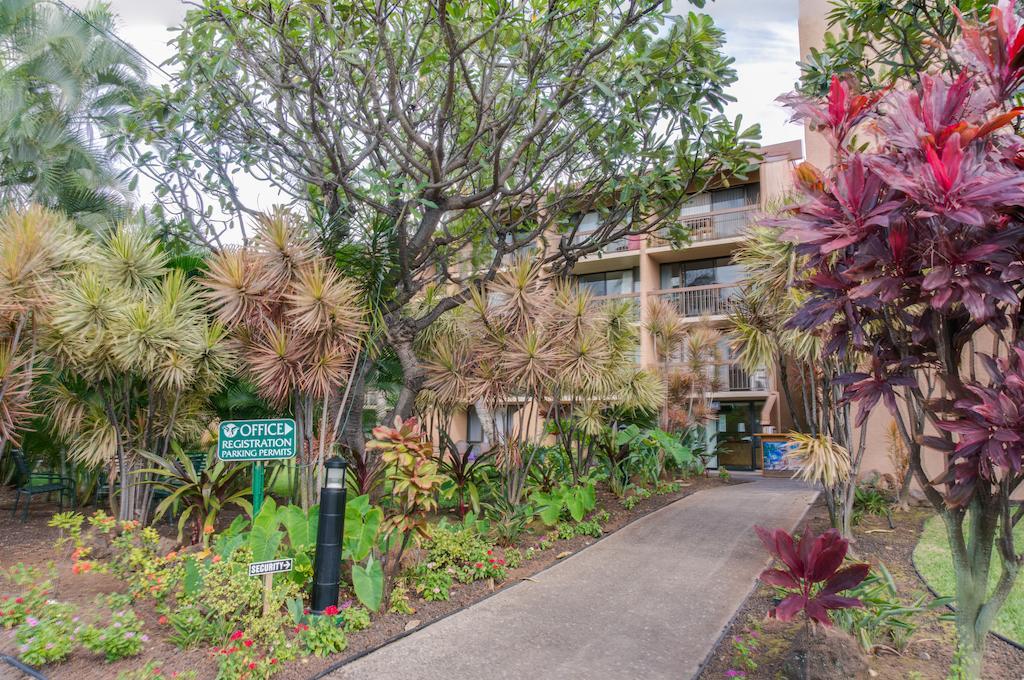 Maui Vista By Maui Condo And Home Kihei Extérieur photo